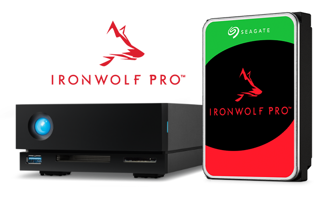 Ironwolf Pro