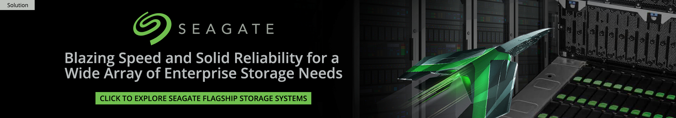 Seagate Flagship Systems