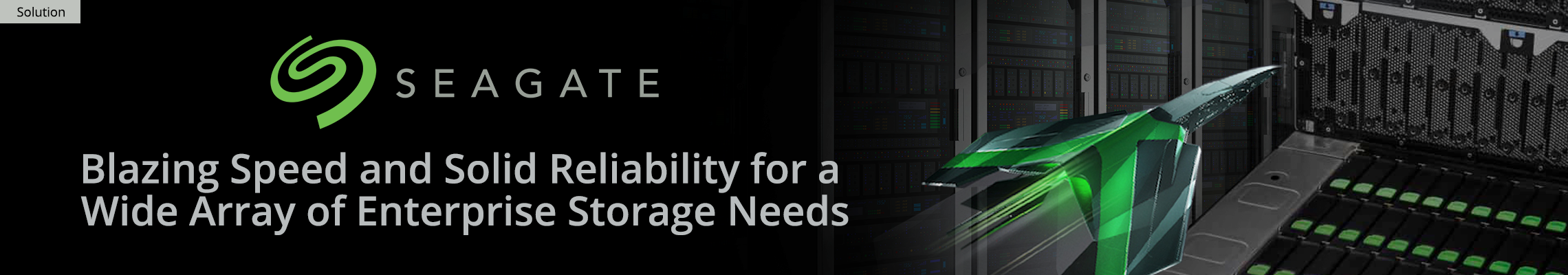 Seagate Flagship Systems